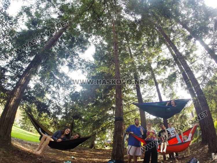 Така изглежда дворът на колежа, където учи Живка