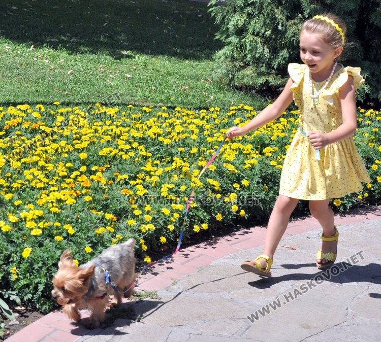 Жълт код за горещо време днес