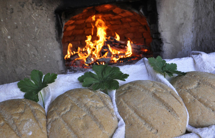 Хасковски фотограф реди изложба в поле от лимец