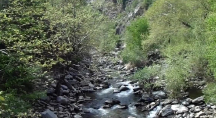 Екоинспекцията извърши проверка по сигнала за мъртва риба в река Чепеларска