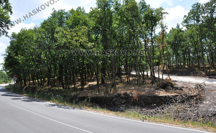 Баровски жилищен комплекс на 50 дка издигат в Кенана (обновена)