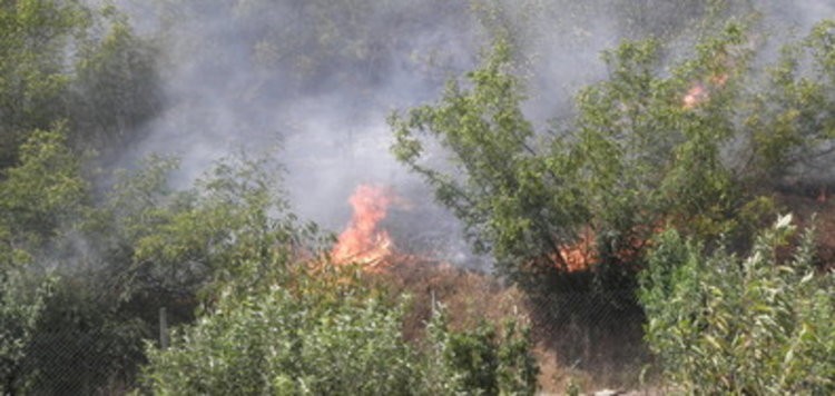 Пожар изпепели над 300 дка гора и храсти в Ямболско