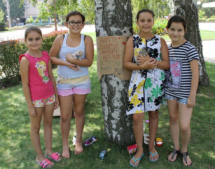 В градинка до сградата на Община Димитровград, Ивон, Кристина, Сияна и Гергана те търсят помощ, за да могат да се погрижат за животните