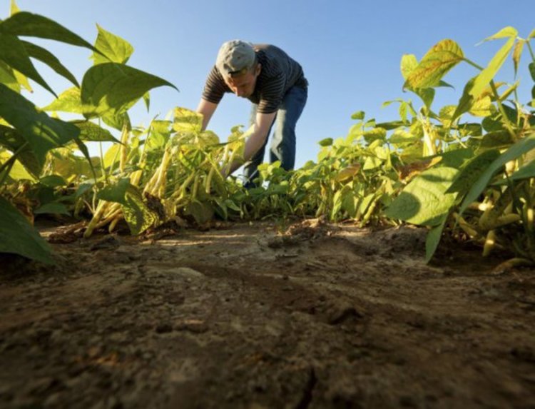 Агенцията за одит на средствата от земеделски фондове с нов директор  