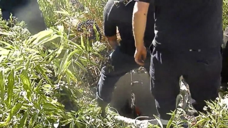 Пожарникари вадиха куче от шахта