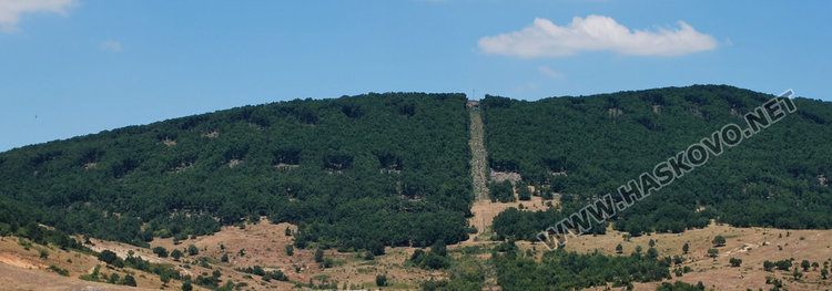 Горското в Баните под лупа за 2 години назад заради незаконната сеч