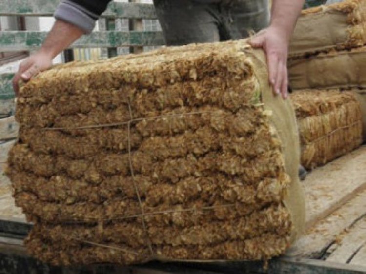 Асен Кючуков: Тютюнопроизводството у нас отмира