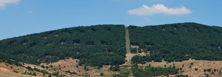 Горското в Баните засипано с актове, един уволнен дисциплинарно