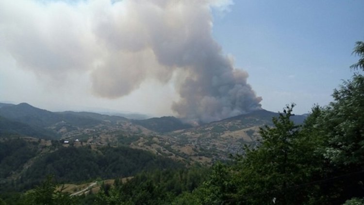 Двама 16-годишни дървосекачи заподозрени за пожара край Ахрянско