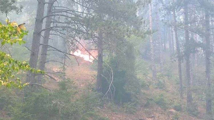 Снимка: Мехмед РЕДЖЕБ