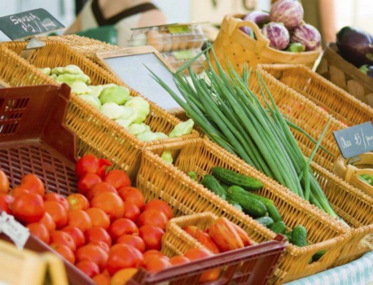 ЕК няма да ни възстановява 14 млн. лв. за биоземеделие  