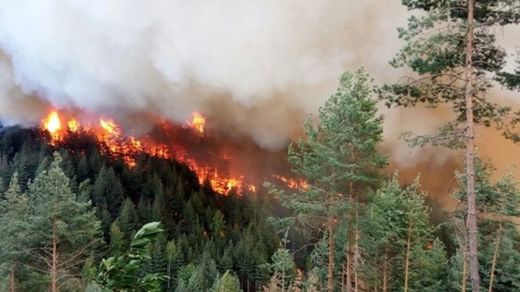 Двама 16-годишни дървосекачи заподозрени за пожара край Ахрянско