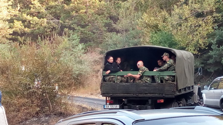 Пожарът в Ардинско изпепели гори за над 2 млн.лева