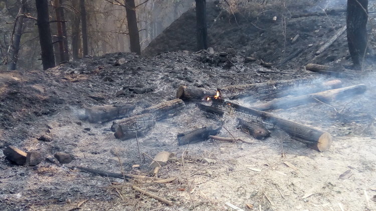 Цвета Караянчева благодари на службите, участвали в потушаването на пожара край Ардино
