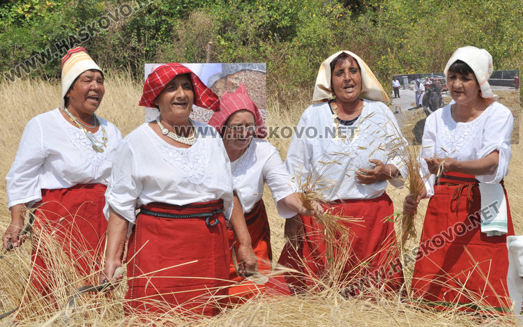 Хасковски фотограф показа пътя на хляба - от нивата до трапезата