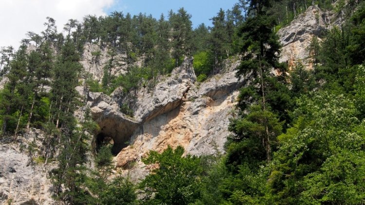 Гората в Родопите е кибрит, предупреждават горските