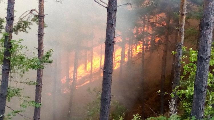Цвета Караянчева благодари на службите, участвали в потушаването на пожара край Ардино