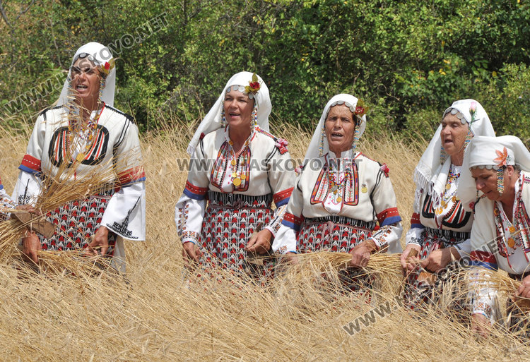 Хасковски фотограф показа пътя на хляба - от нивата до трапезата