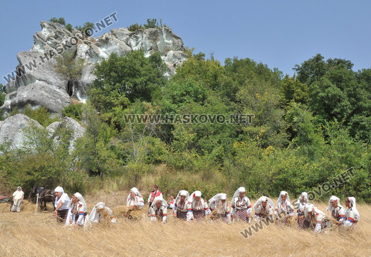 Хасковски фотограф показа пътя на хляба - от нивата до трапезата
