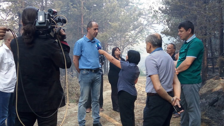 Пожарът в Ардинско изпепели гори за над 2 млн.лева