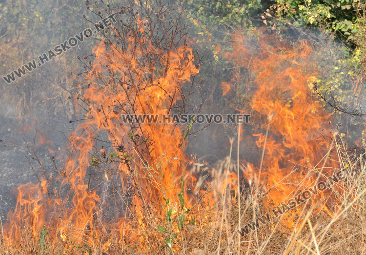 Спряха пожар на метри от гробище, балировачка подпали житен блок