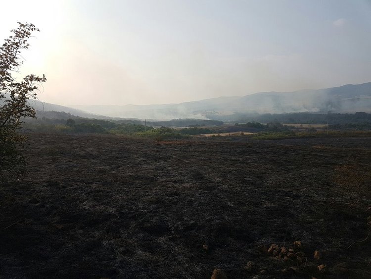 Пожарът край Маджарово обхвана 5000 дка, хеликоптер гаси стихията