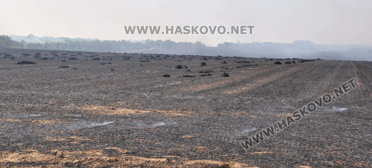 Спряха пожар на метри от гробище, балировачка подпали житен блок