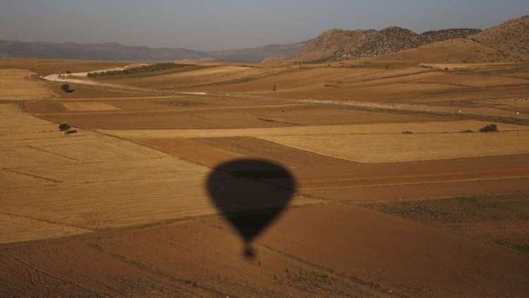 Балон с 16 души на борда падна в Тексас