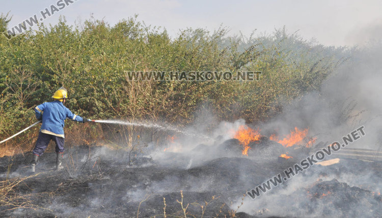 83 декара гора засегна пожарът край село Крепост 
