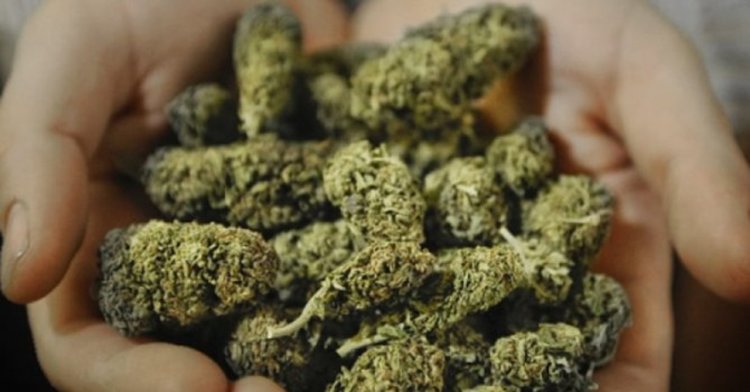 Спипаха млад мъж с марихуана