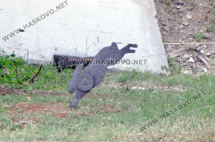 Половината от хасковските кандидат-ловци се провалиха на изпита, в Димитровград-100 % успели