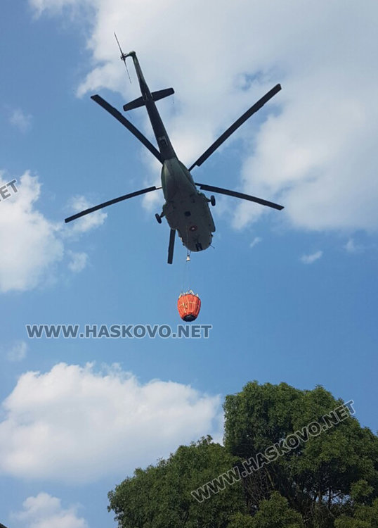 Маджаровският пожар лумнал от печен патладжан