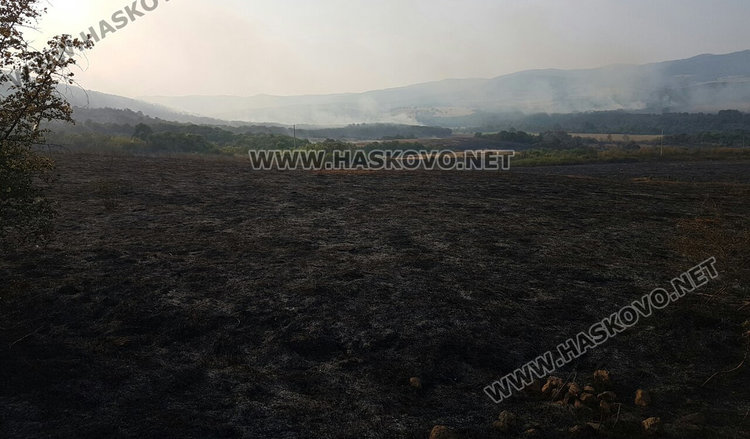 Маджаровският пожар лумнал от печен патладжан