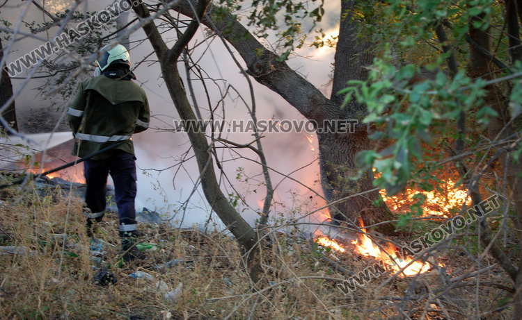 Нов пожар погълна гора и пасища край Харманли