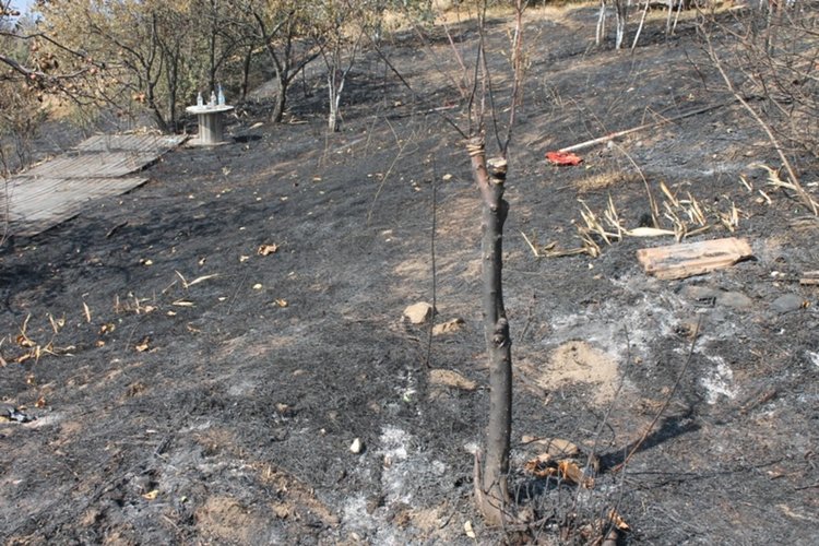 Бай Сабахатин от „Родопско”: „Помислихме, че изригва подземен вулкан”