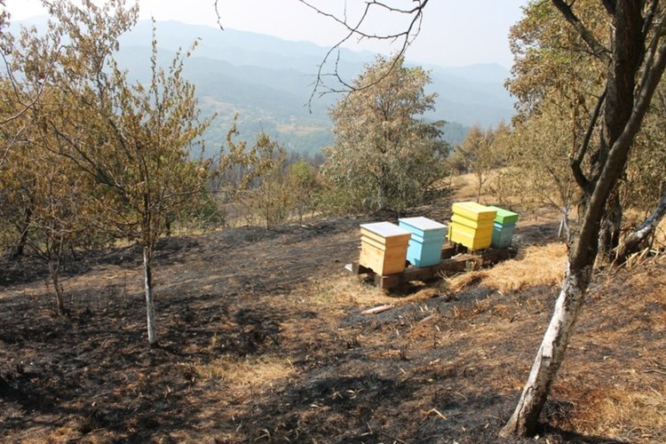 Бай Сабахатин от „Родопско”: „Помислихме, че изригва подземен вулкан”