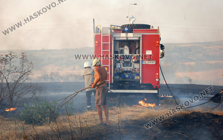 Нов пожар погълна гора и пасища край Харманли