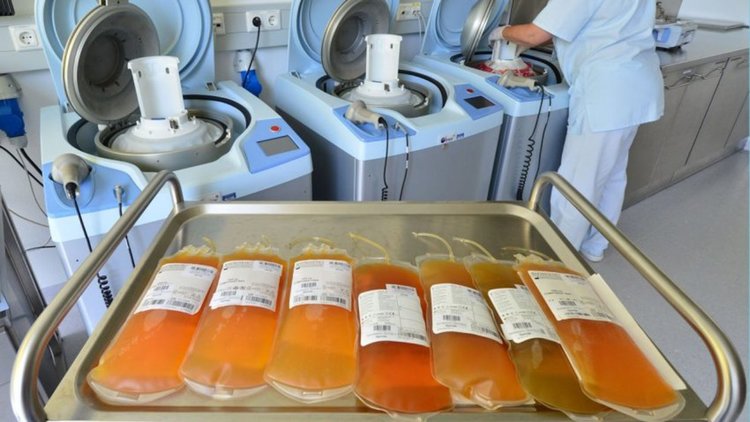 Подмладяване: 8 000 долара за преливане на плазма от по-млади хора