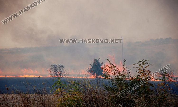 Нов пожар погълна гора и пасища край Харманли
