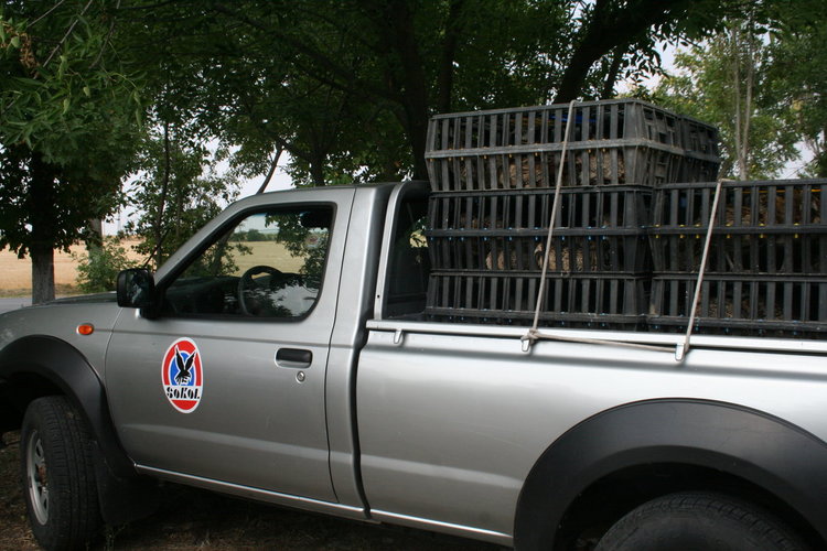 Стотици патици и фазани полетяха в ловните райони