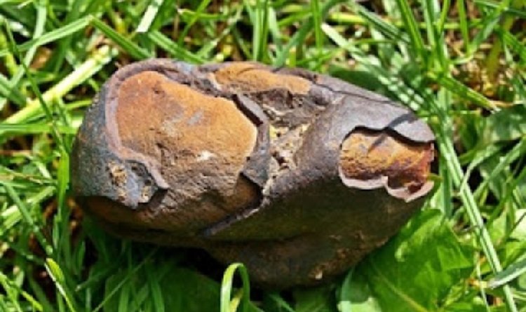 Момчета откриха голям метеорит край кърджалийско село