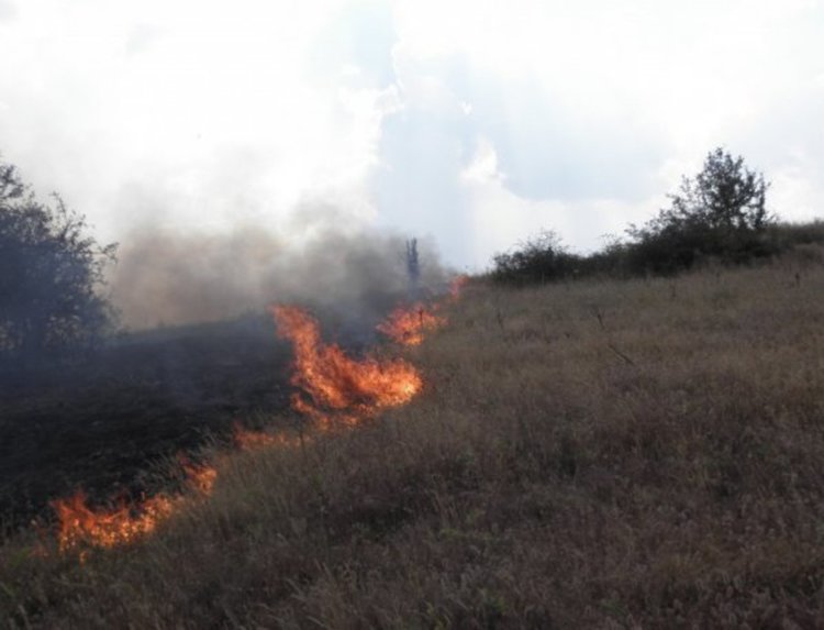 В 8 области остава най-висока опасност от пожари  