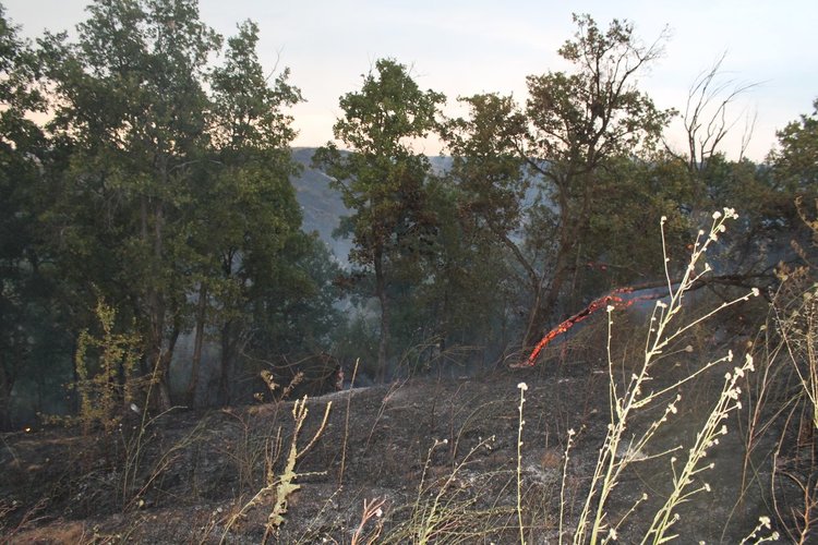 Пожарът в харманлийско е овладян