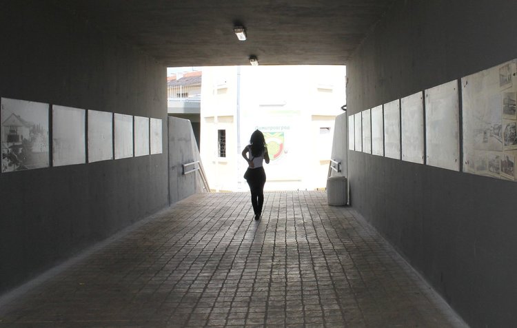 Общината: 1 304 лв. струва подновяването на изложбата в подлеза на Водната кула