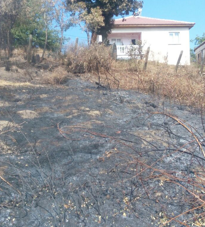 Огън заплаши къщите на Подвис,пожарът е локализиран