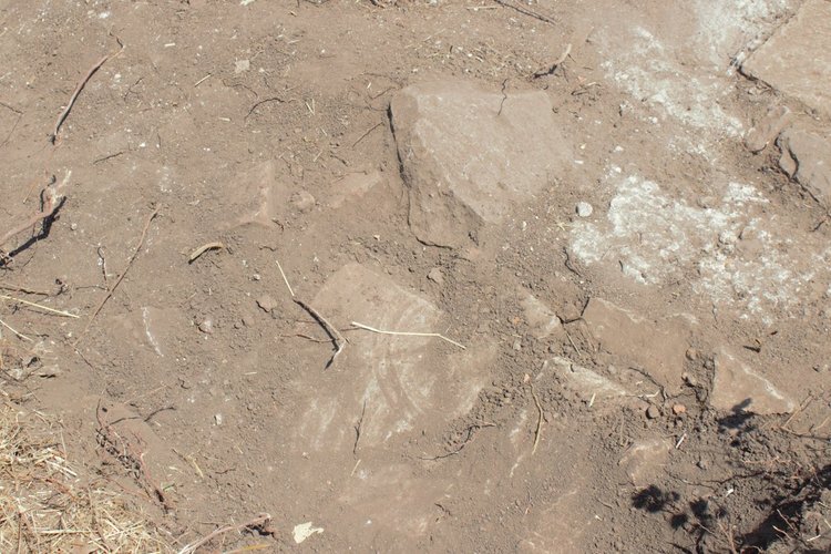 Поредица интересни сгради се появи при разкопките на Хасара