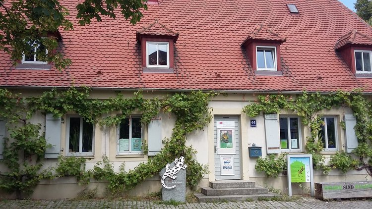 Златка Гарова обмени опит в обучение по пчеларство в Германия