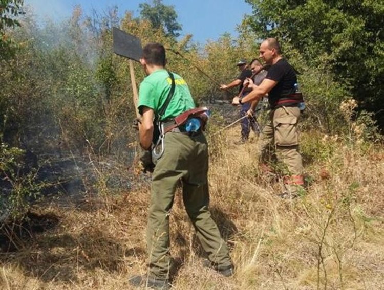 Загасиха пожар до село Искра