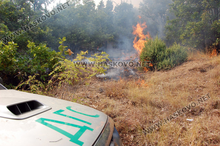 МВР: Пастир подпалил гората край Черна могила