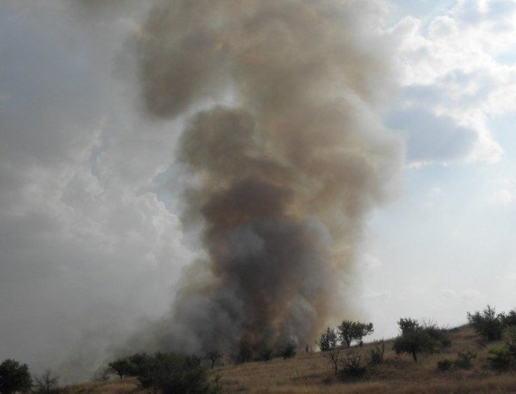 Овладян е огромният пожар, който избухна в Тополовградско 